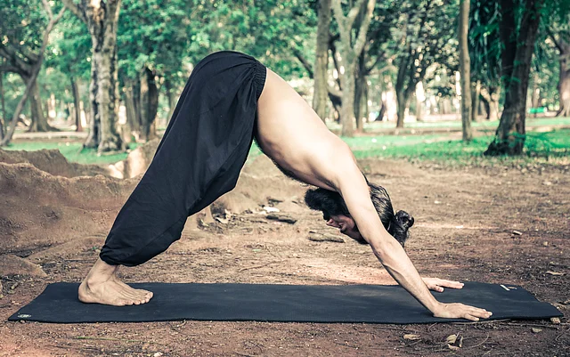 Akshar in adho mukha svanasana.