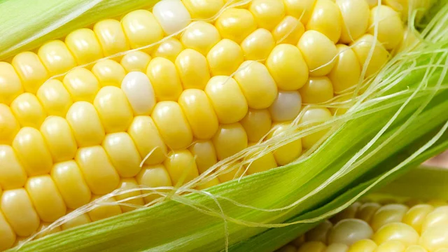 Corns are loaded with soluble and insoluble fibre.