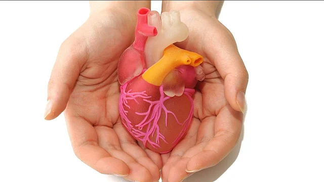 Moringa also helps in controlling blood lipid levels.