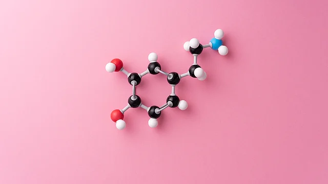 By reducing the brain’s feel-good chemical known as dopamine, followers believe that they can reset the brain.