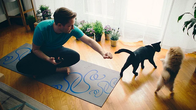 'The issue is that I have been a dog person all my life and my to be husband is a cat person. How can we marry?'