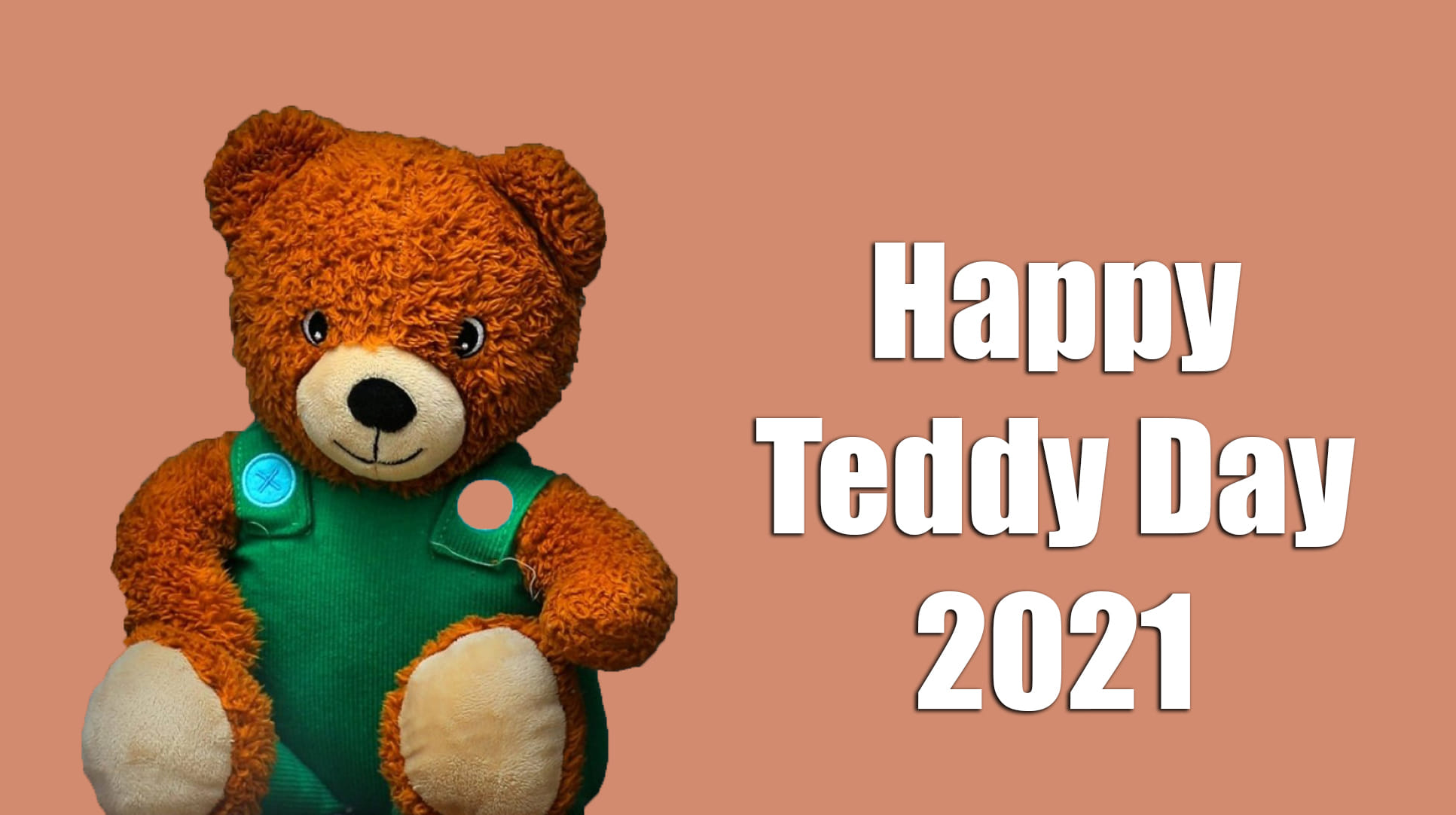 international teddy bear day 2021