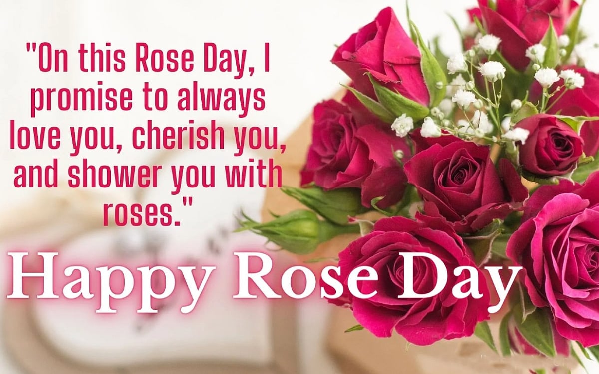 Happy Rose Day 2023 Wishes, HD Images & Greetings: Send Quotes, Beautiful Rose  Pics, WhatsApp Messages, Wallpapers & GIFs To Celebrate the First Day of  Valentine's Week | 🙏🏻 LatestLY