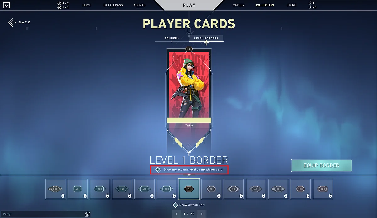 Uncheck the ‘Show my account level on my player’ option to hide your account level in the game