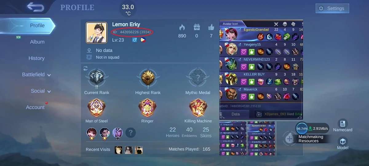 Your player ID can be found on your in-game profile.