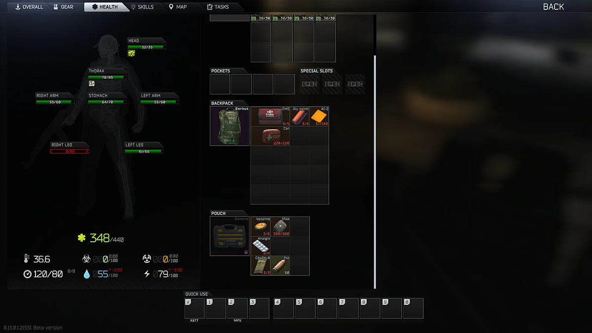 Destroyed or Blacked-out limbs have 0 HP and show up as black on the UI.