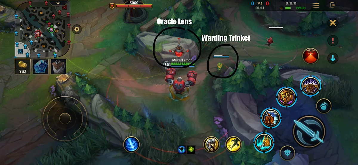 Top 5 Differences Between Wild Rift and Mobile Legends