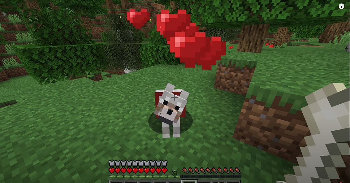 How to tame a wolf in minecraft