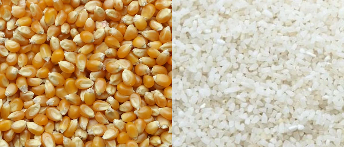 Maize Rate