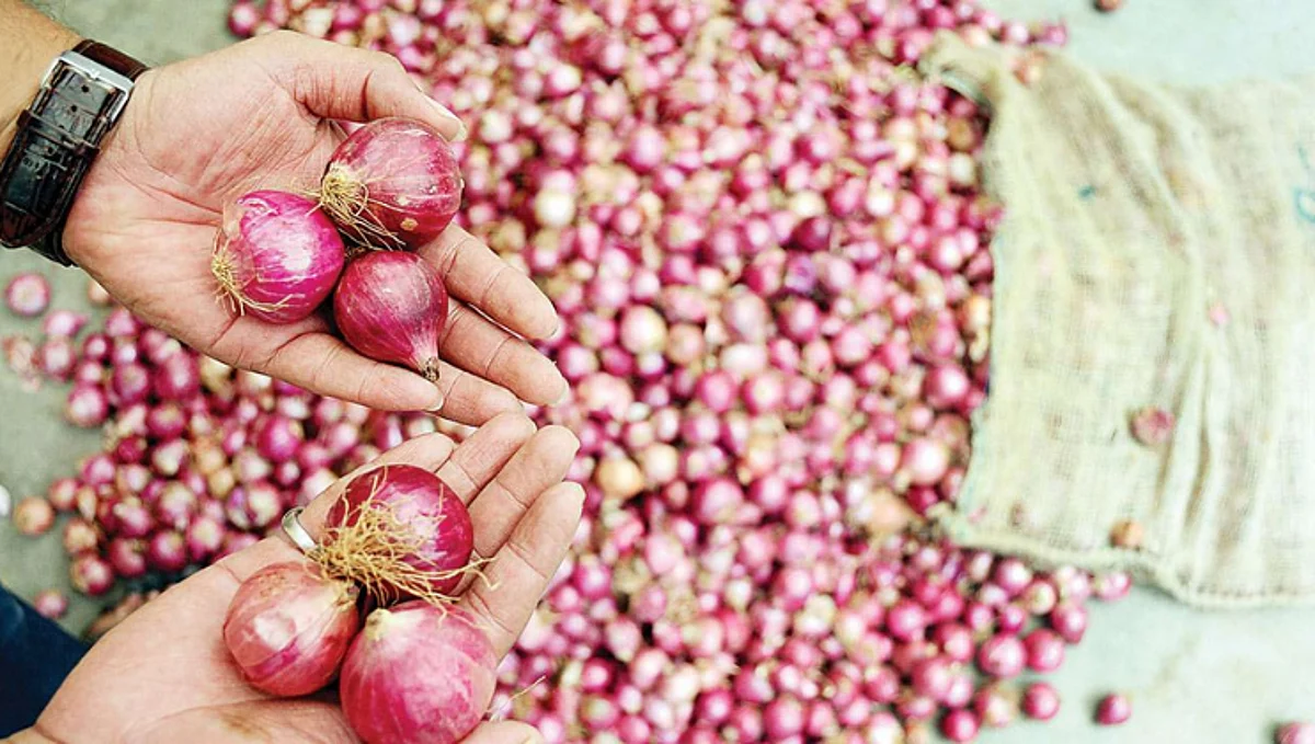 Onion Market