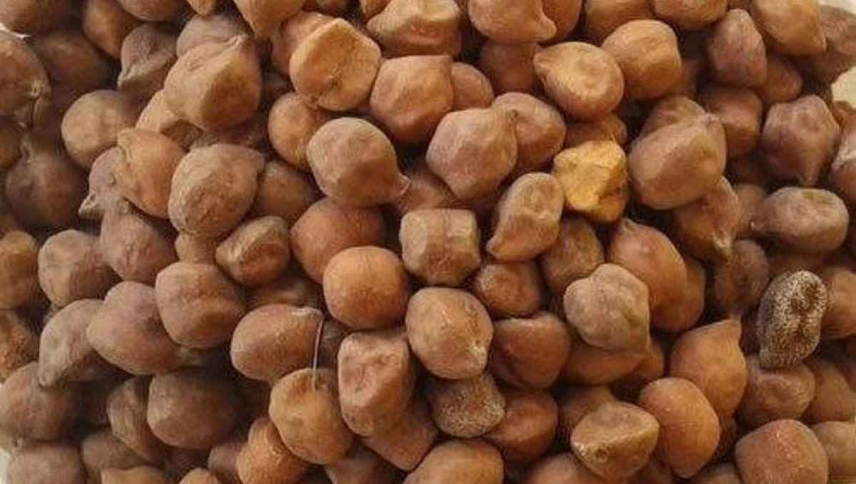 Chana Production