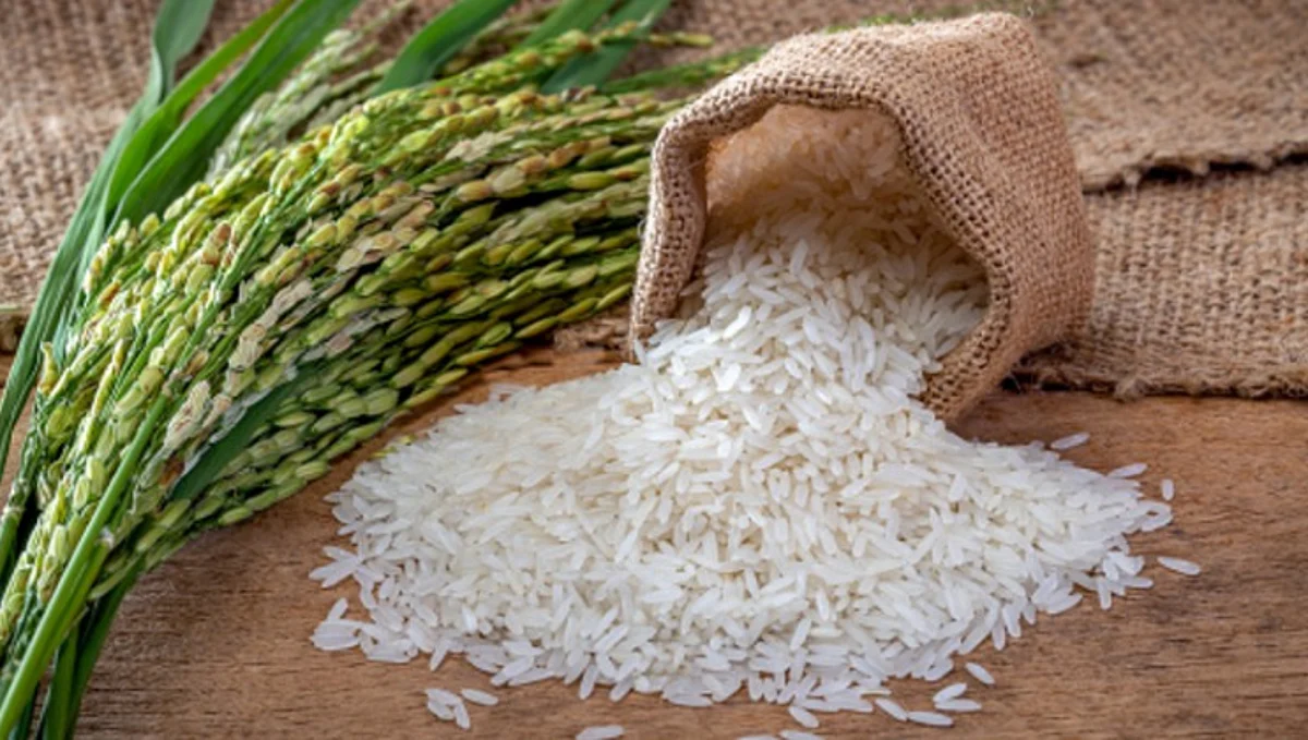 Rice Export