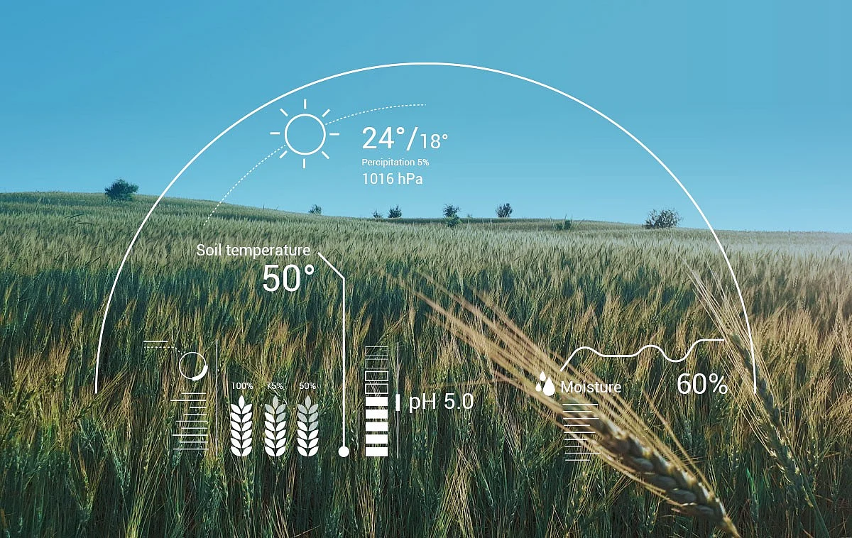 To Detect Crop Diseases using AI,Machine Learning