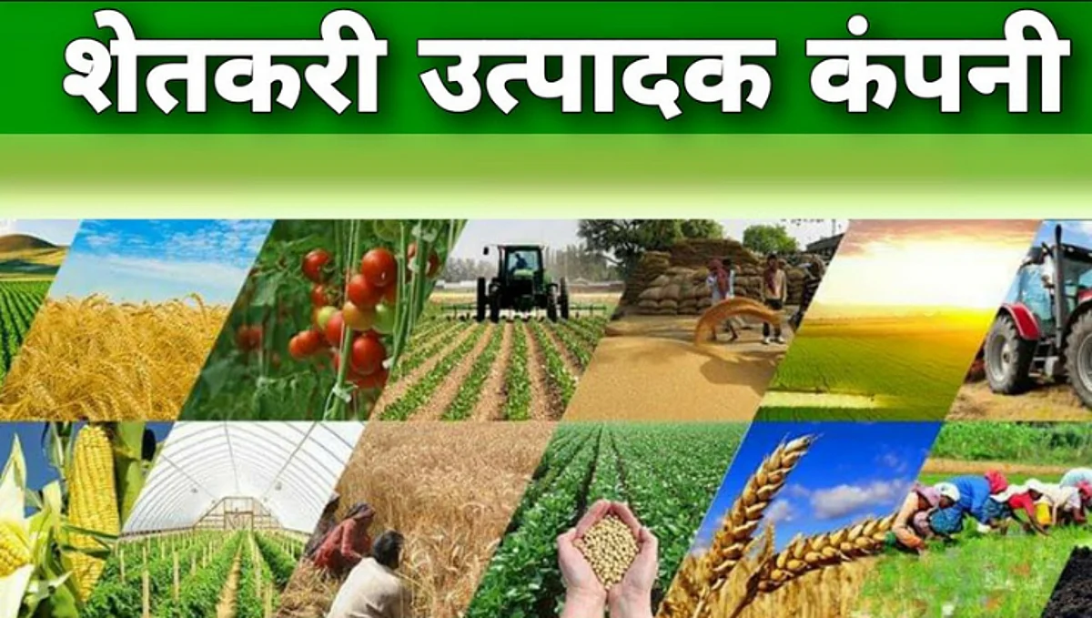 Farmer Producer Company
