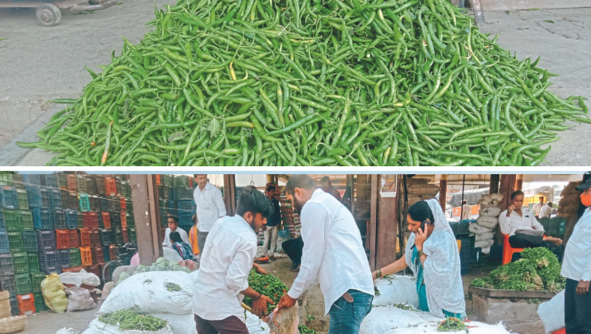 Chilli Market