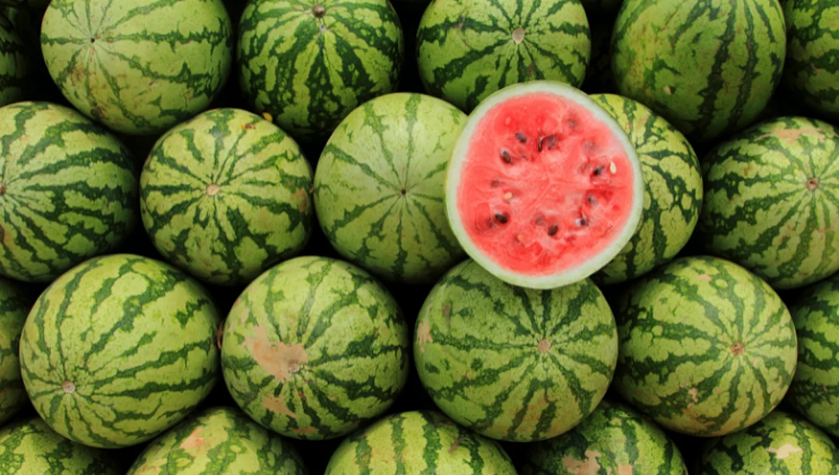 Watermelon Rate