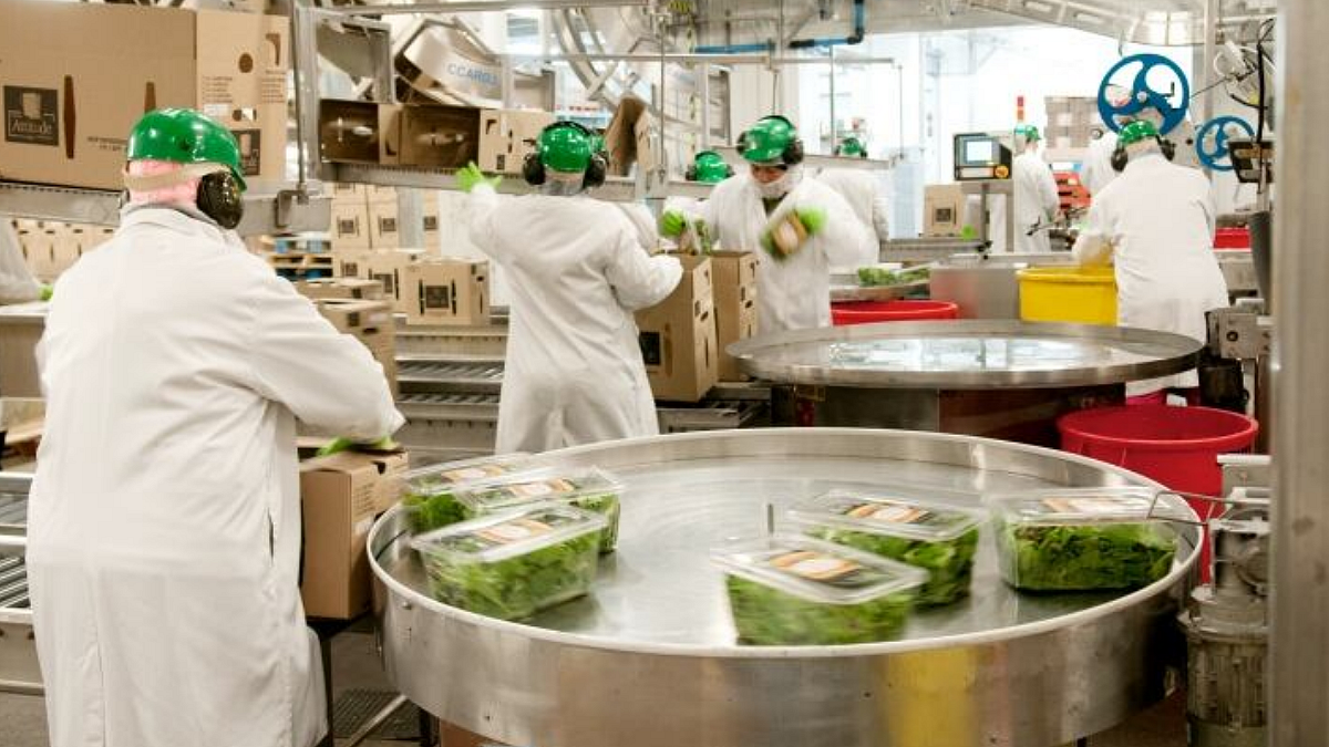 Farmers Producer Company