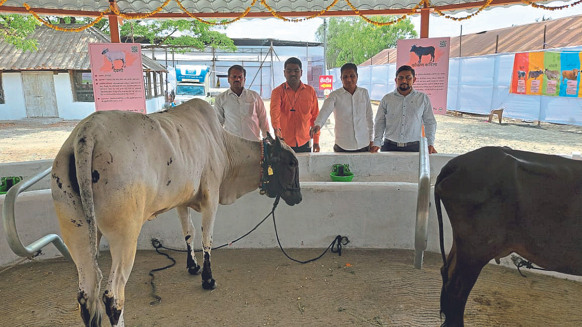 गोधन प्रदर्शनाला मिळतोय पशुपालकांचा उत्स्फूर्त प्रतिसाद