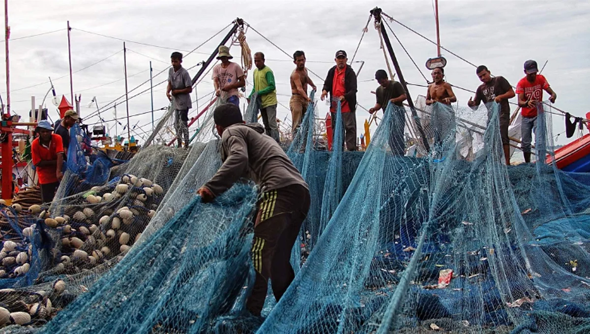Fisheries