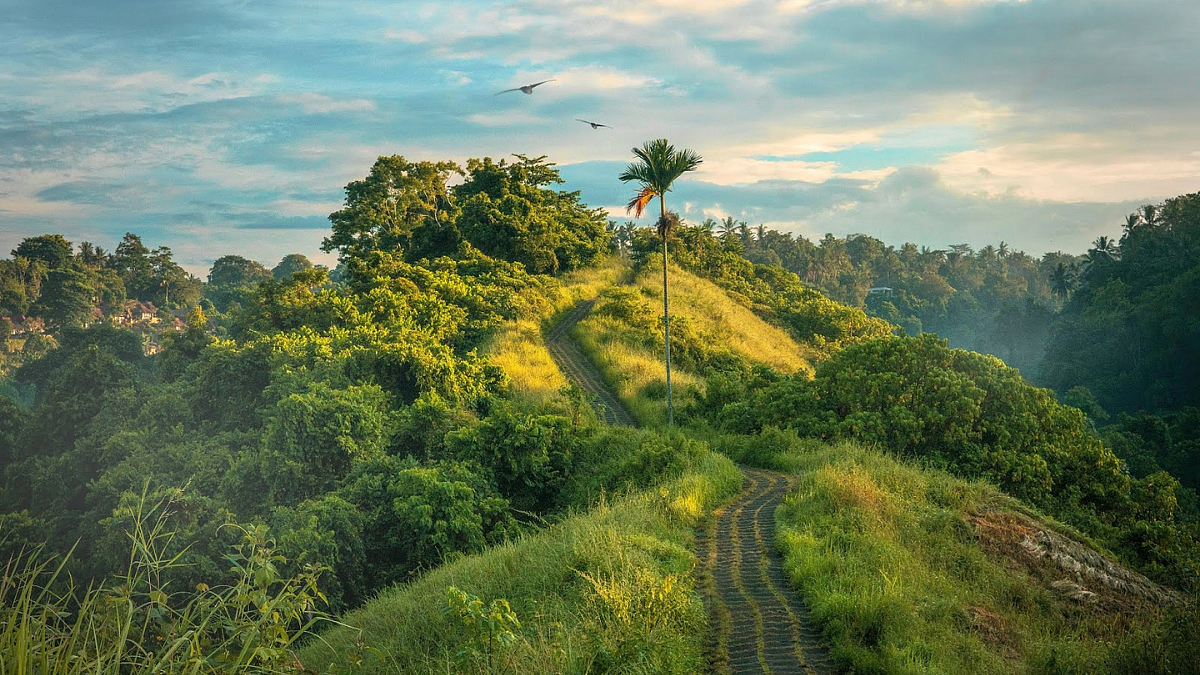 Tripura