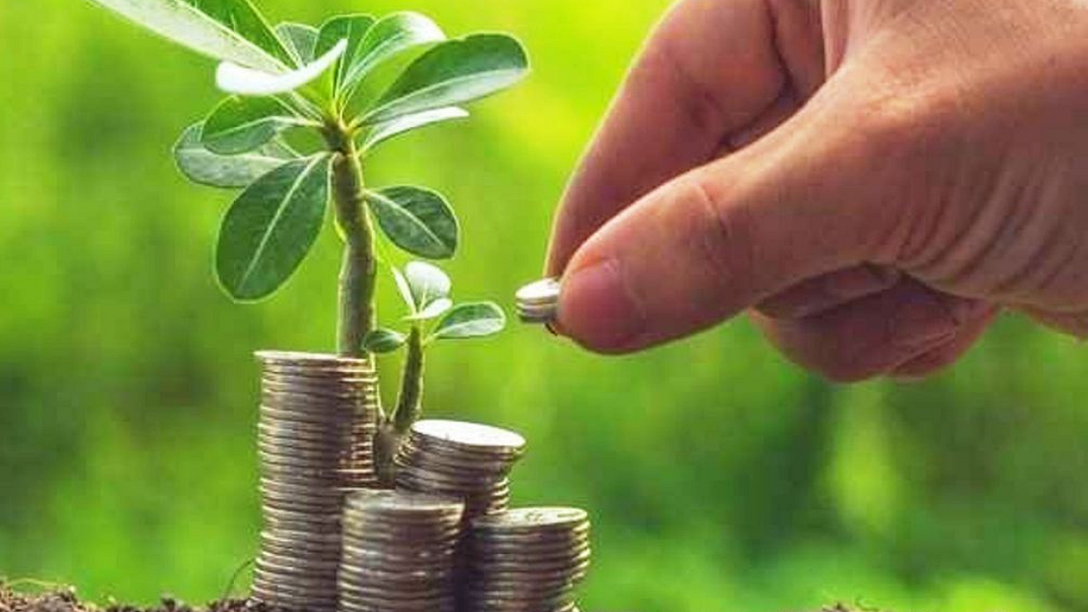 Agriculture Business