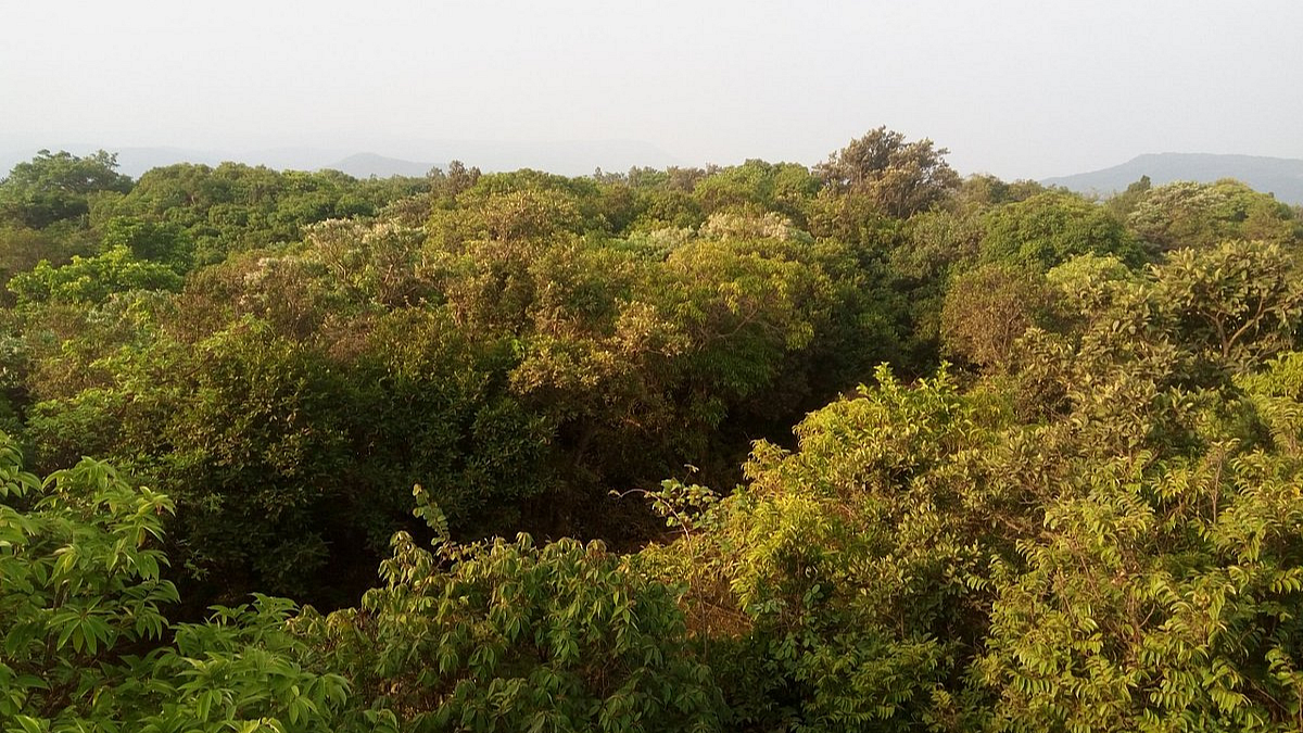 Forest Department