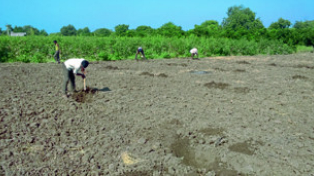 केरळात मॉन्सूनचे वेळेआधीच आगमन शक्य