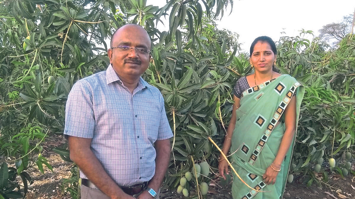 थेट विक्रीचा जावळे पॅटर्न