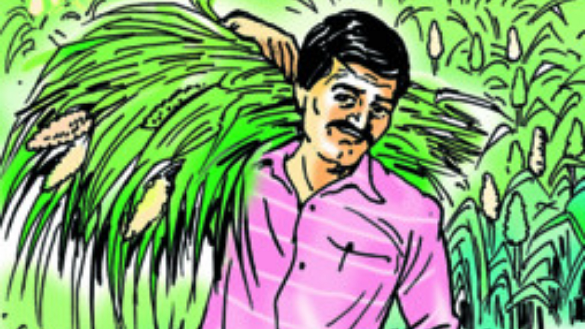 शारीरिक कष्ट करणारे लोक गेले कुठे?