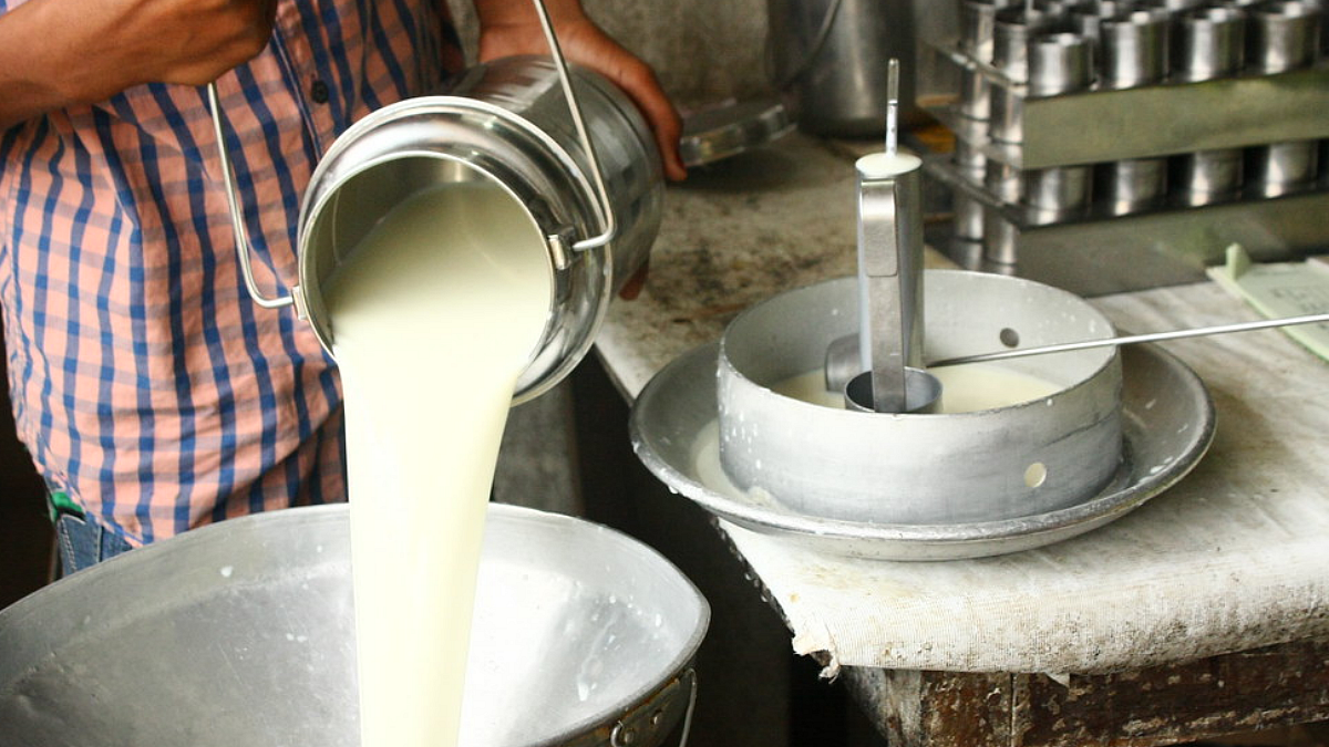 Milk Collection