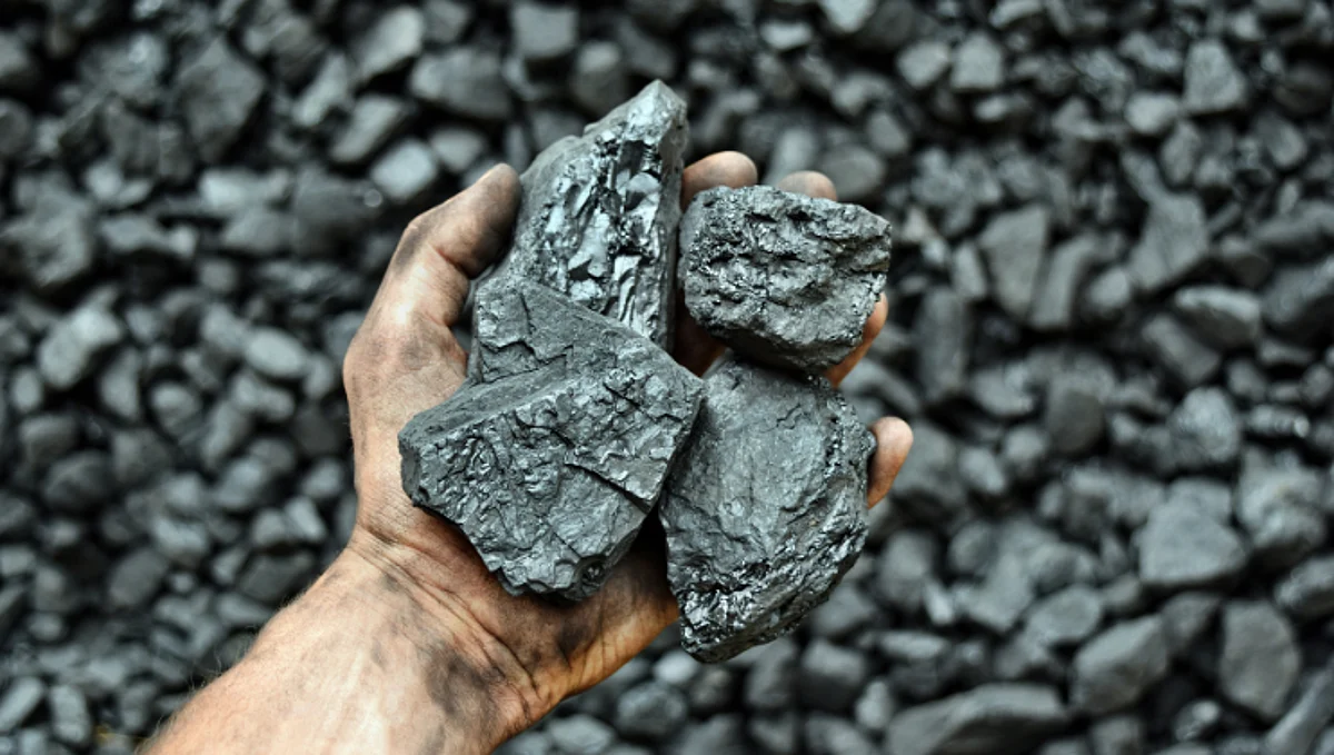 Coal