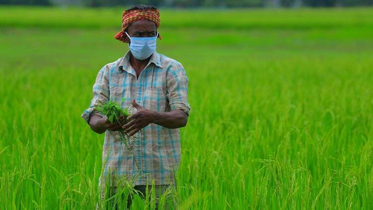 नुकसानीचे पंचनामे झाले, मात्र भरपाई मिळेना