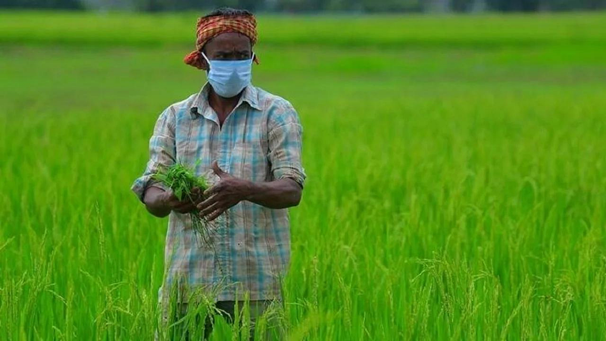 Agriculture Loan