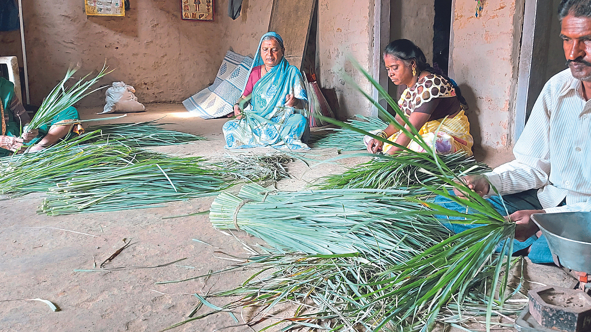 काढणीनंतर अशा पद्धतीने स्वच्छता होते.