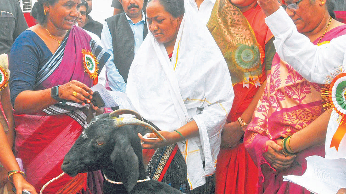 शेळीपालनातून महिलांना आर्थिक सक्षम करणार