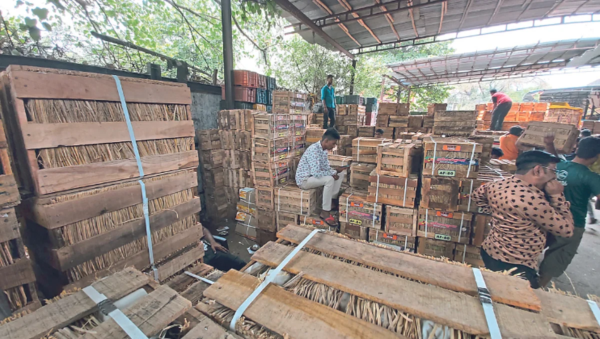 Mango Market