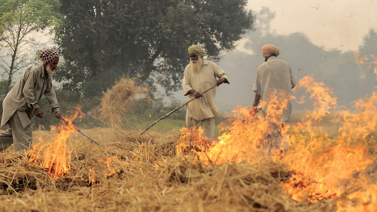 पिकांचे अवशेष जाळल्याने होणारे दुष्परिणाम
