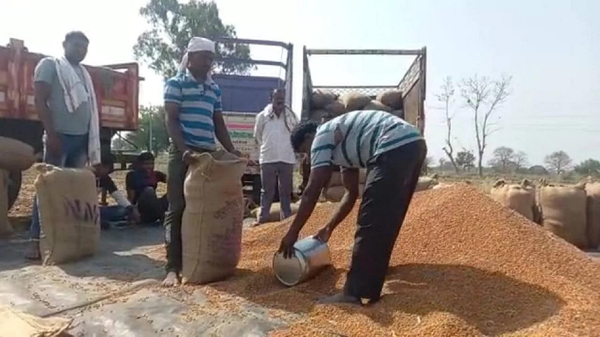 हरभऱ्याची हमीभावाने खरेदी पुन्हा सुरू करण्याची प्रतीक्षा