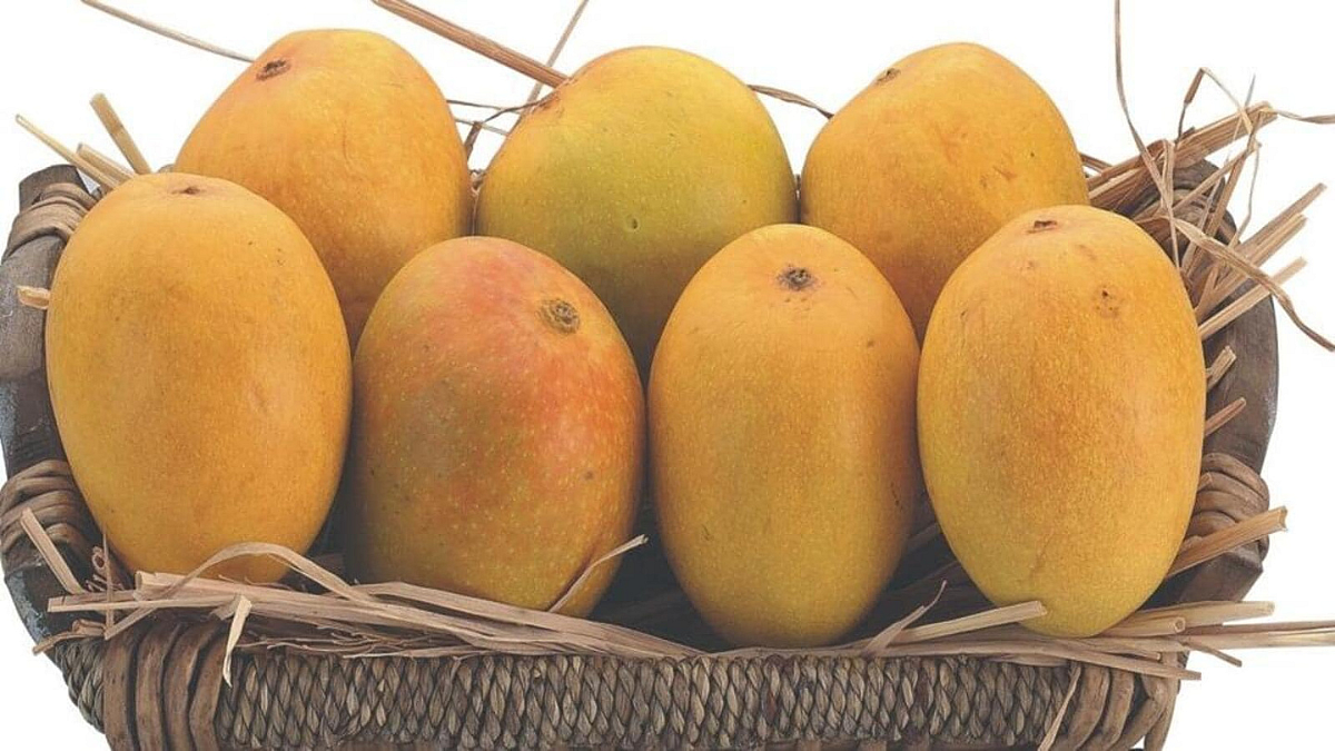 भारताचे आंबे युरोपात: बेल्जीयम येथे आंबा महोत्सवाचे आयोजन