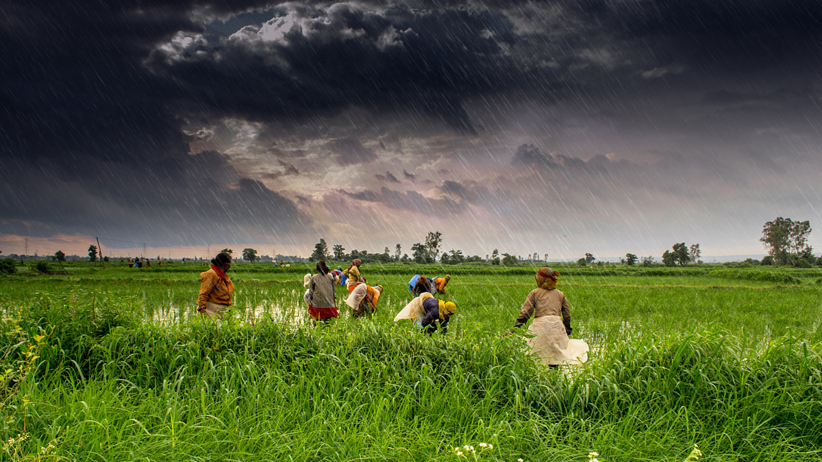 जोरदार पावसाची प्रतिक्षा