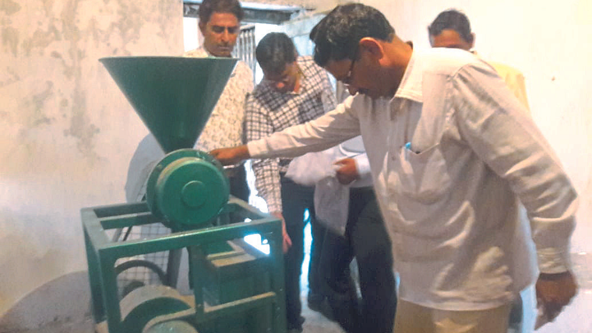 भरडधान्यांमध्ये प्रक्रियेला संधी