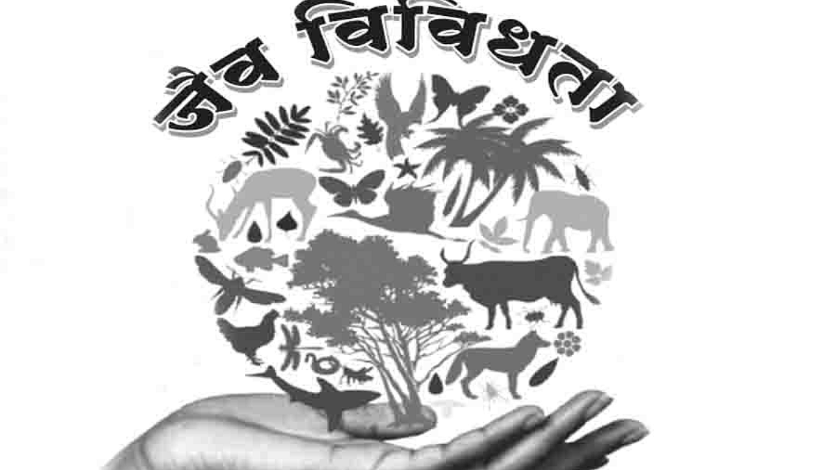 स्थापना जैवविविधता समितीची...