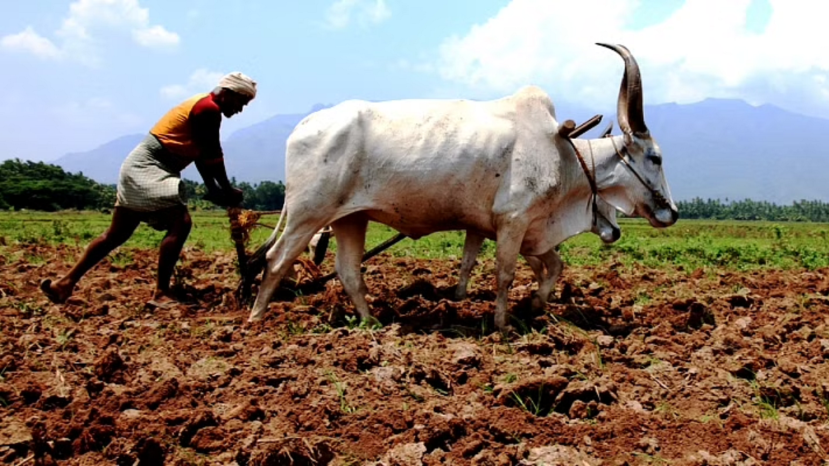 Indian Agriculture