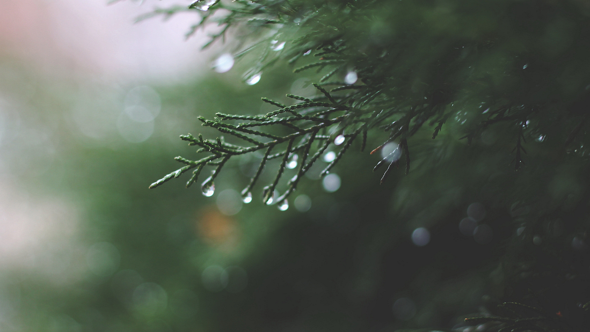 Monsoon