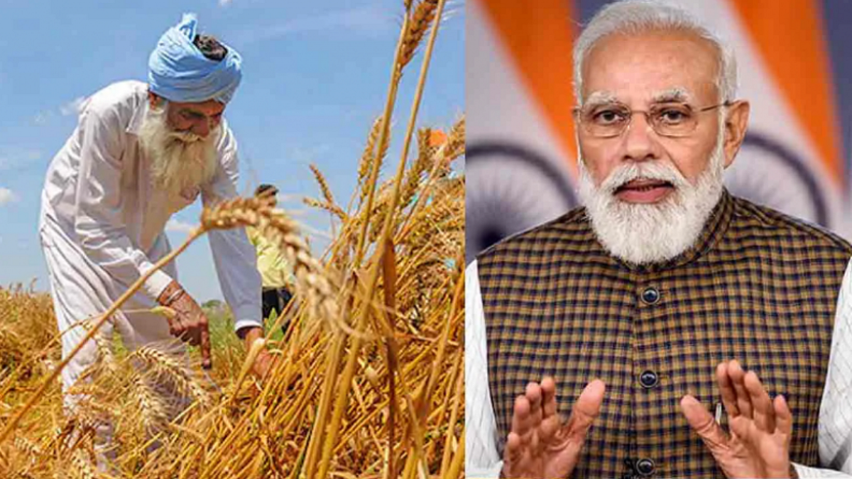 Wheat Export Ban