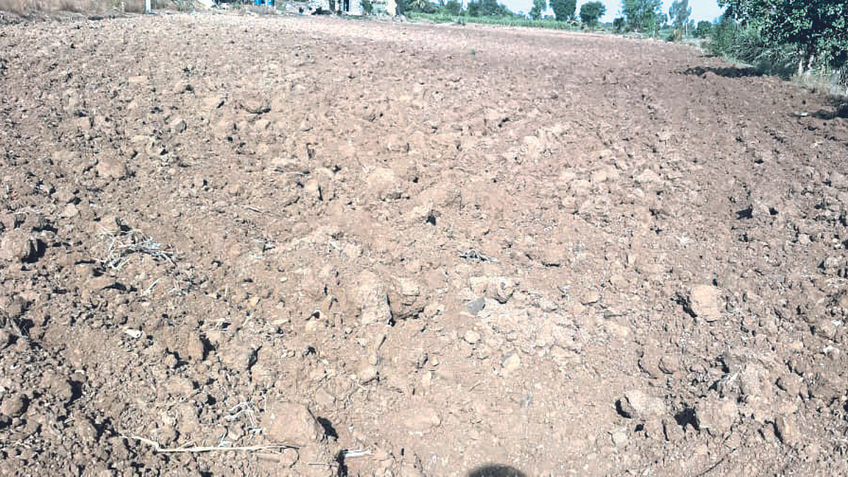 पावसाअभावी पेरण्या,ऊस लागवडी खोळंबल्या