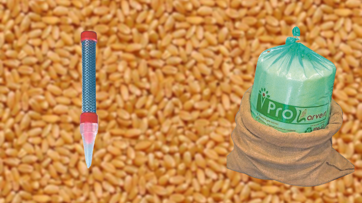 Food grain