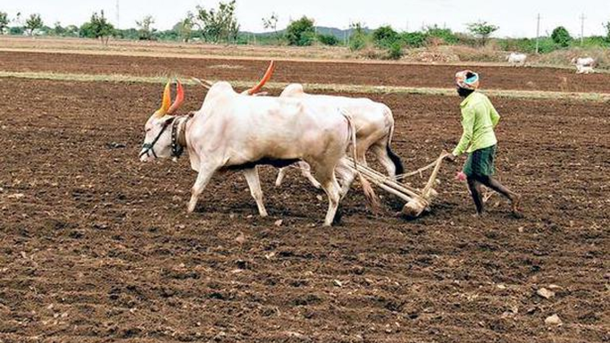 Kharip Sowing