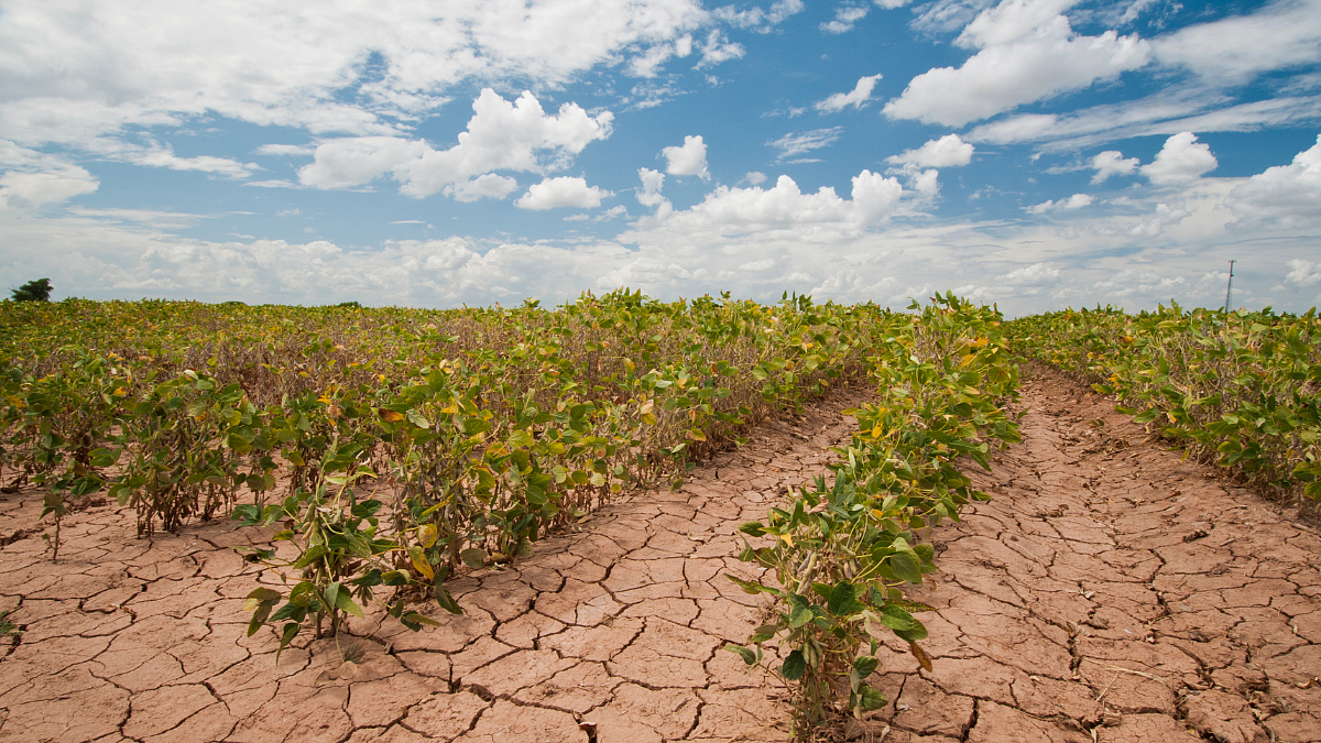 Climate Change