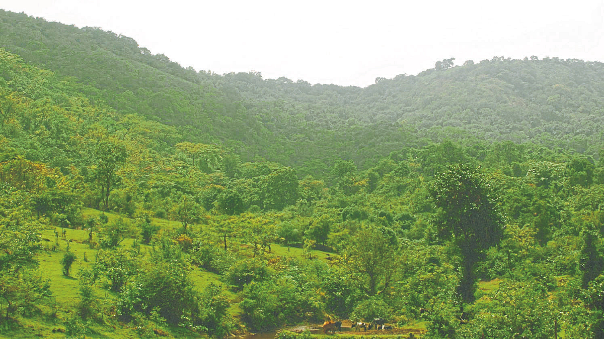 लोकांचे जैवविविधता नोंदणी पत्रक पूर्वतयारी